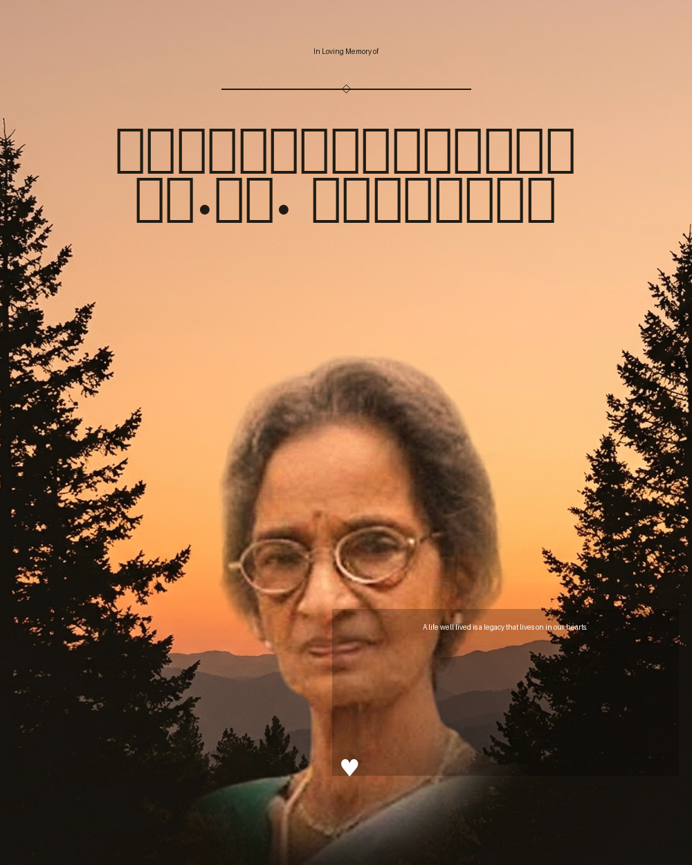 പെരുമ്പേട്ടത്ത് പി.വി. ശാരദാമ്മ