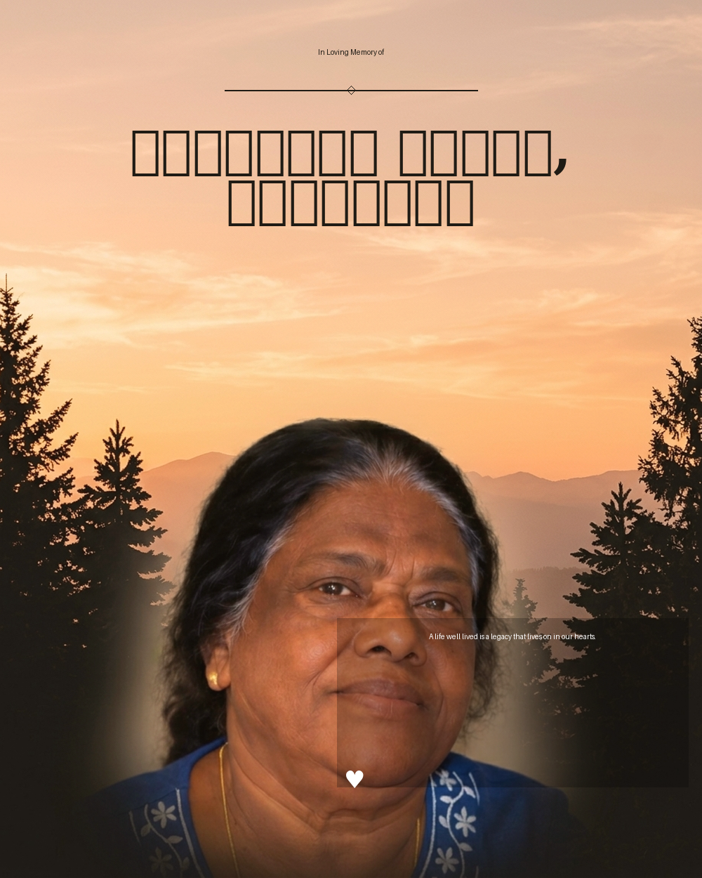 ഏലിയാമ്മ ജോർജ്, ഹൂസ്റ്റൺ